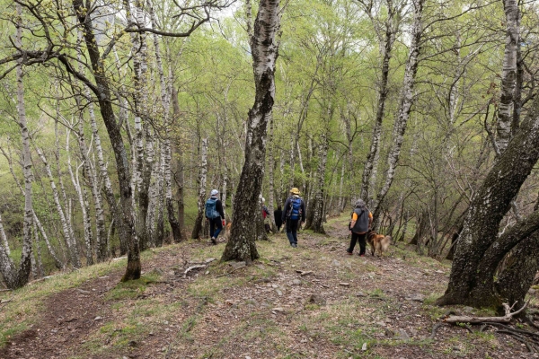 Durch Tessiner Dörfer und Kastanienwälder