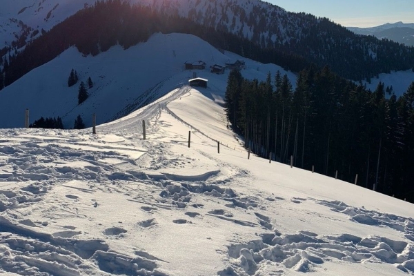 Schneeschuhtour Wirzweli-Gummenalp (für Einsteiger geeignet)