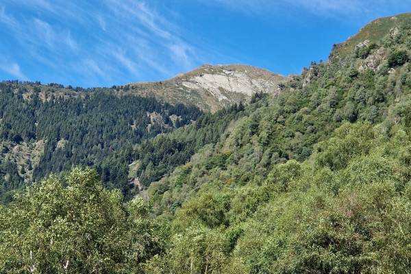 Mezzovoco-Monti-Mezzovico