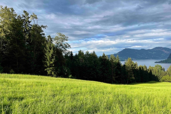 Genusswandern vom See ins Eigental