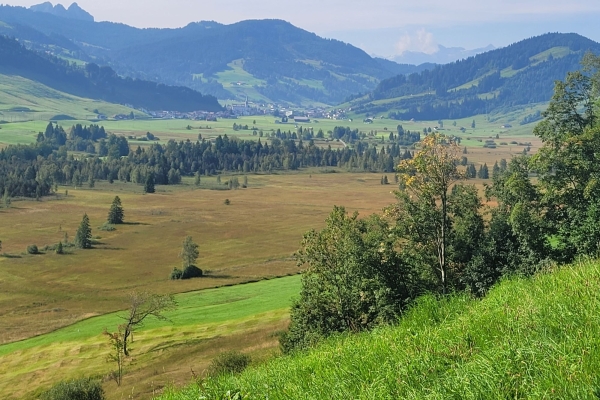 Von Schwyz  in den Kanton Zug mit viel Panorama