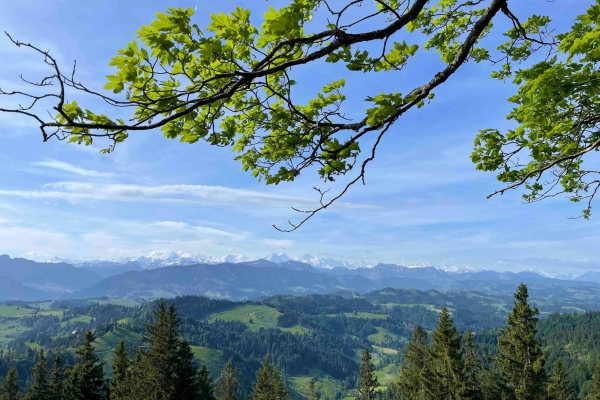 «Rund um den Kanton Luzern» Etappe 13:  Bramboden - Wiggen