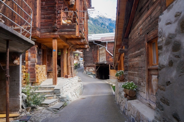 A la rencontre du Verbier sauvage