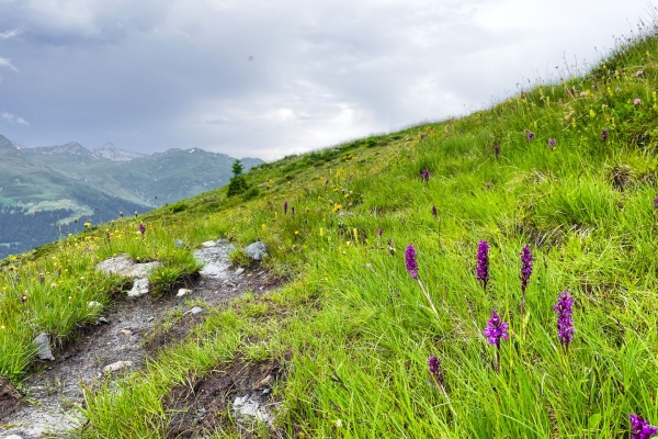 Rundwanderung aufs Rinerhorn