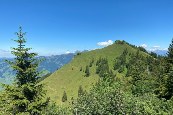 Bilten Hirzli Niederurnen