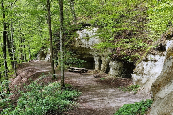 58. Découvrir le Frienisberg (BE)