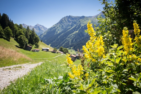 Frühlingsrunde rundum Klosters
