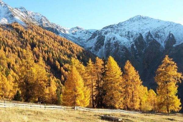 R73: NEU /  Haute-Nendaz - Balavaux