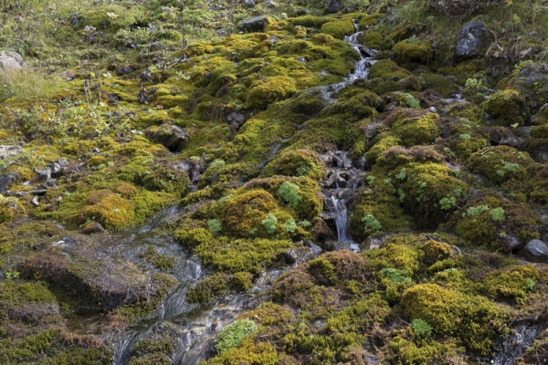 De la vallée de Gadmen à celle du Gental