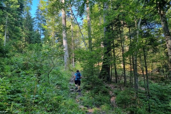 Auf dem Gratweg am Käsenberg