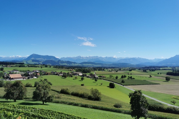"Rund um den Kanton Luzern” Etappe 3:  Honau - Hohenrain