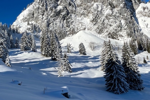 Panorama-Schneeschuhtrail zum Furggelenstock