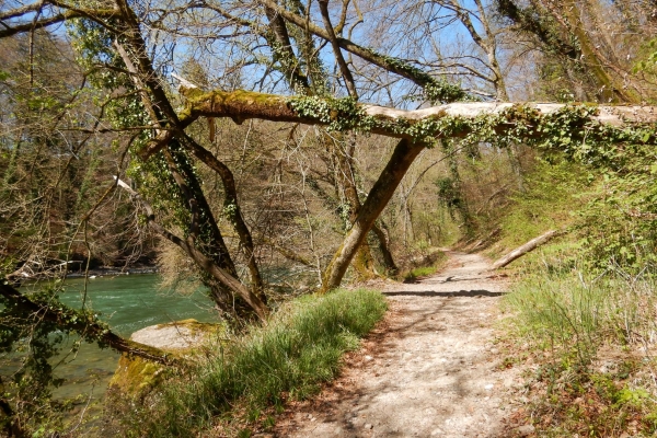 Sulle rive della Reuss immersi nella natura