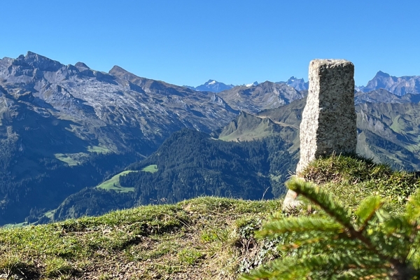 Panoramawanderung mit Alpenflora um das Laucherenstöckli