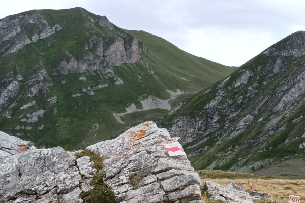 Voda Hüahnrköpf dur Wolfgruaba