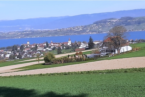 11. Der Staatswald Galm