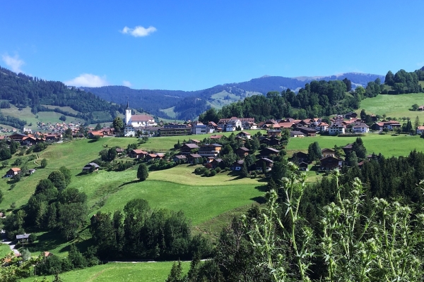 49. Röstigraben: 10. Etappe, Charmey - Neirivue