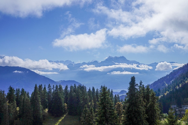 Felstürme in den Waadtländer Alpen