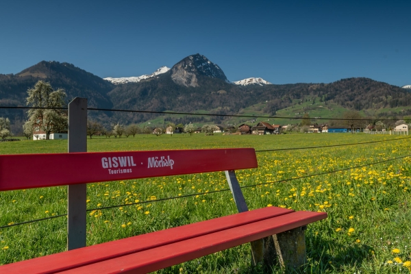 Eröffnungswanderung zur GV: Aussichtsreiche Frühlingswanderung über dem Sarnersee