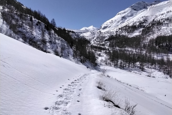 R11: Saas-Almagell - Mattmark - Saas-Almagell