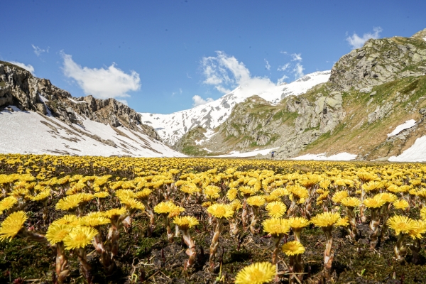 La bellezza dell’Altopiano della Greina