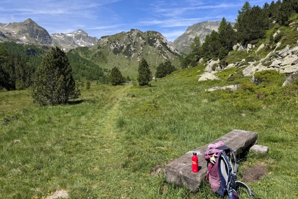 WANDERUNGEN IM LUKMANIERGEBIET