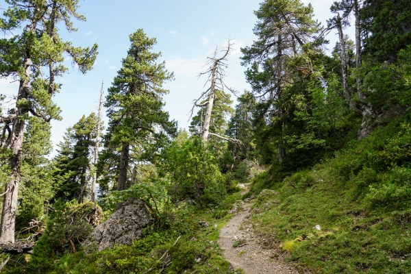 Zu den Schwyzer Klippen auf der Ibergeregg