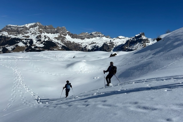 Schneeschuh-Rundtour Engelberg/Trübsee (für Einsteiger geeignet)