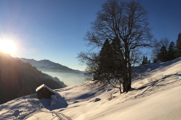 Einlauftour Schneeschuhwandern