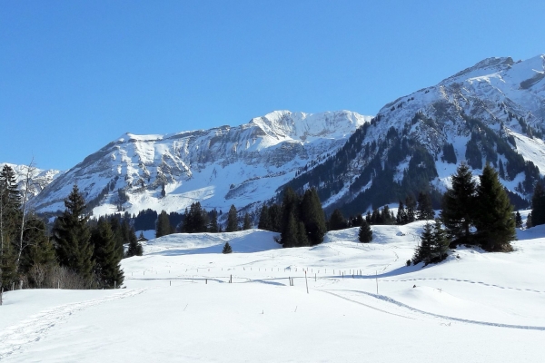 Schneeschuhwanderung durch die UNESCO Biosphäre in Sörenberg