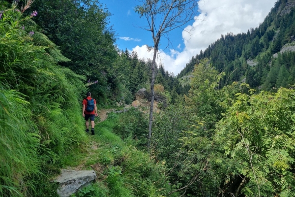Alpeggi in fiore e torbiere alte sul Lucomagno