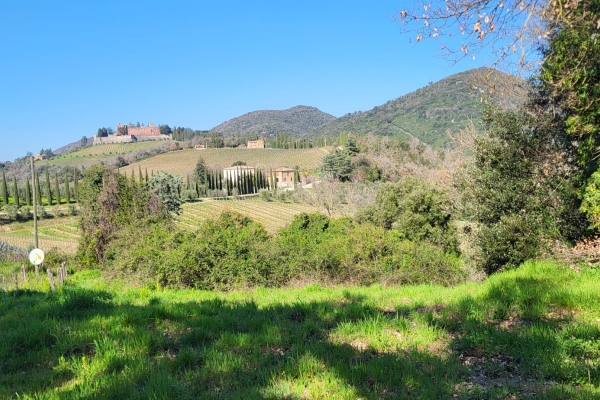 S03: Toscane - Chianti Classico