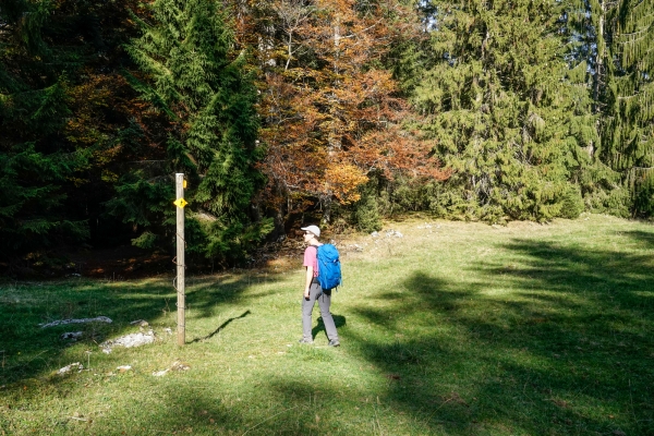 Im Jura zwischen Sonvilier und Le Noirmont