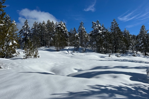Schneeschuhwanderung Schlierengrat/Rorersmatt