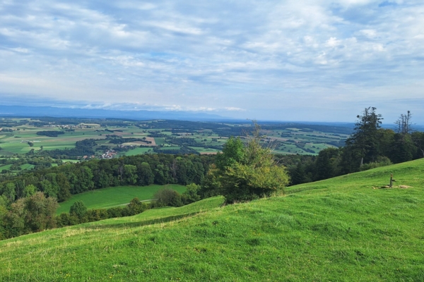 ZWISCHEN WIESEN, WALD UND URZEIT DURCH DIE AJOIE