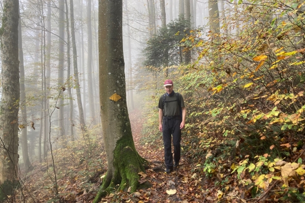 Bei mystischer Stimmung über die Homberglücke