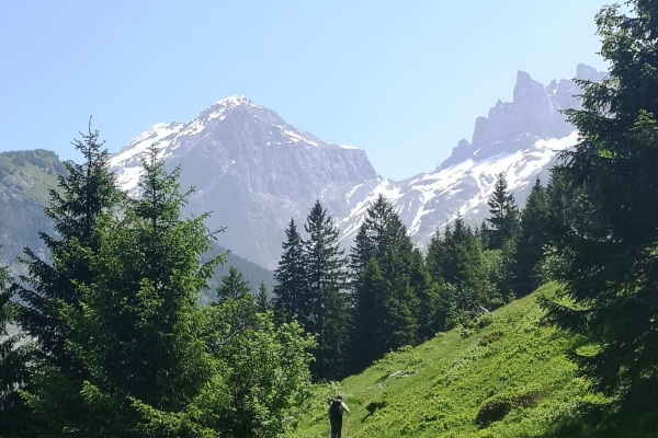 Unbekanntes Engelberg