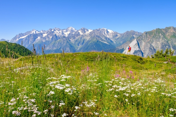 Panoramawanderung zum Mont Brûlé