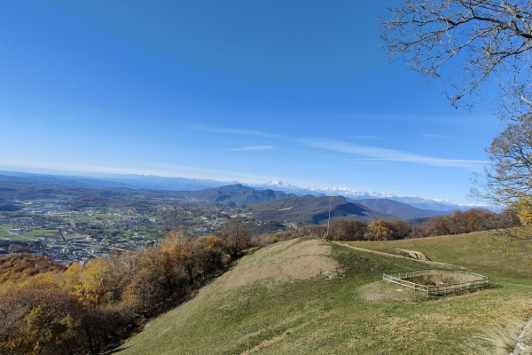 Nella valle dell’Oppio (dal latino Opulus = acero campestre)