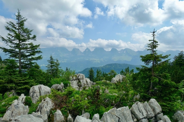 Lütispitz (*****/T2) Anmeldung ab 5. August möglich