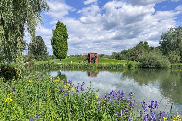 Frühlingspfad am St. Alban-Teich in voller Blüte