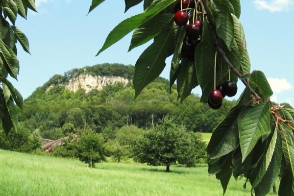 Wandertreffen AG, SO, BS, BL - Route 1