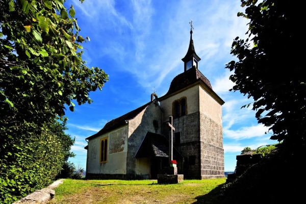 Cressier — La Neuveville vignes, forêt et lac