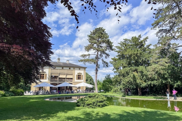 Frühlingspfad am St. Alban-Teich in voller Blüte