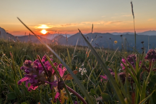Wandernacht - Sonnenaufgangstour – Gipfelerlebnis auf dem Wildspitz