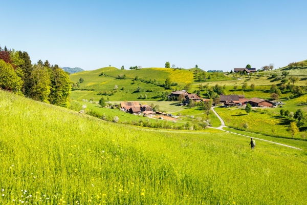 Frühlingswanderung durch Moränenlandschaft