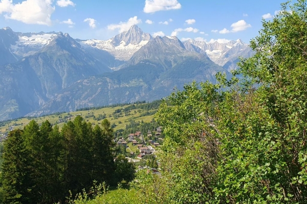 R63: Eischoll - Unterbäch - Bürchen - Unterbäch