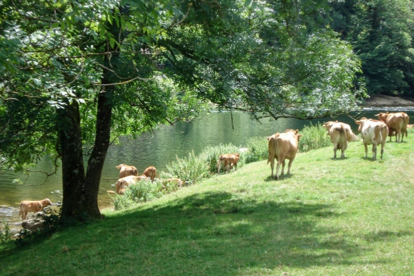 Erfrischende Wanderung entlang des Doubs