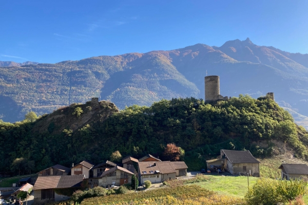 Durch Rebberge und über eine Hängebrücke