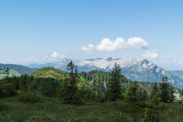 Moorzauber am Glaubenberg
